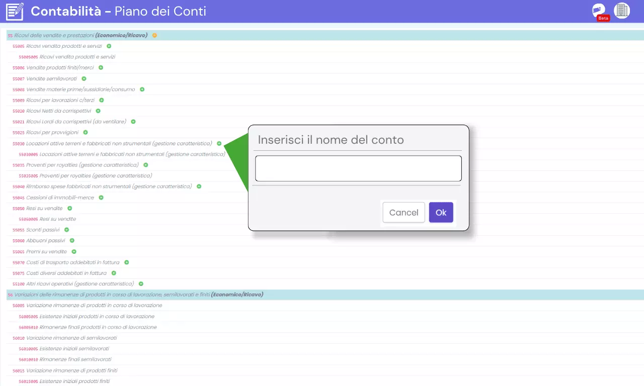 piano dei conti personalizzato