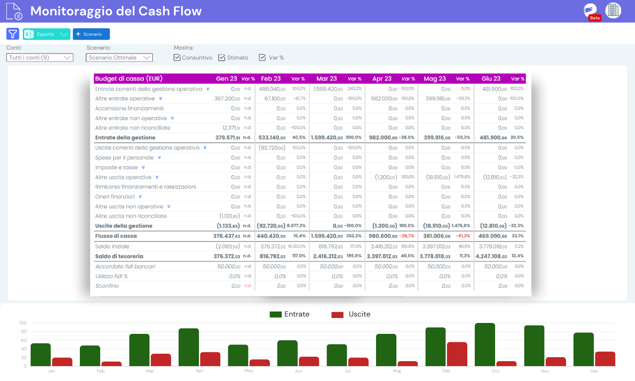 Monitoraggio cash flow