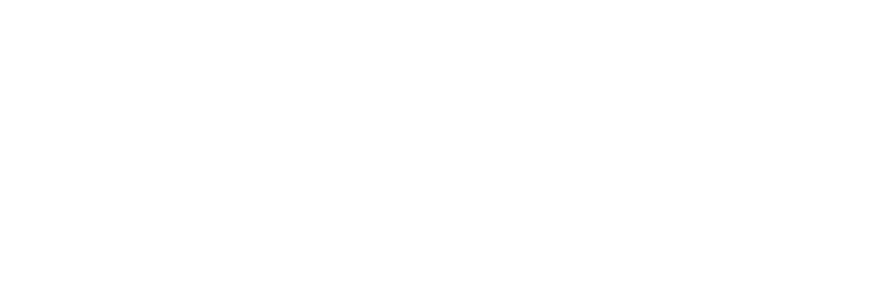 BPilot_Logo_White